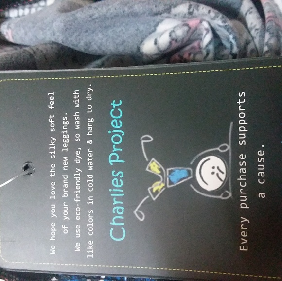 Charlie Project - Picture 5 of 6